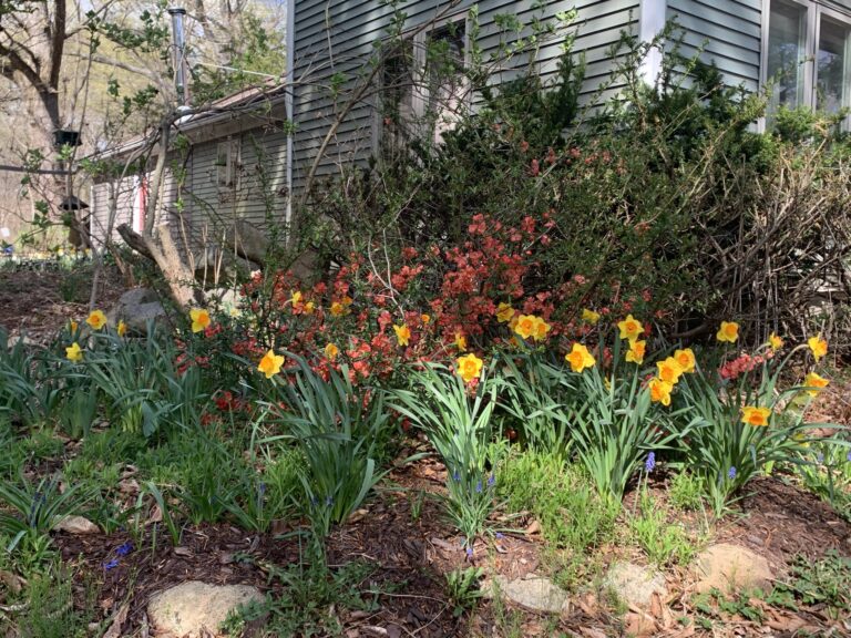 1727CC8A 67E8 4CA7 9356 447E60D94604 768x576