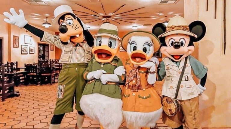 272066186 474629877395040 9130506851121275573 n 768x431