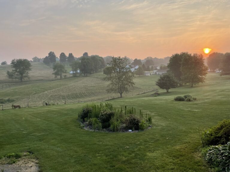 359151B0 4DA1 4EB8 AB1C CAB7F2921819 768x576