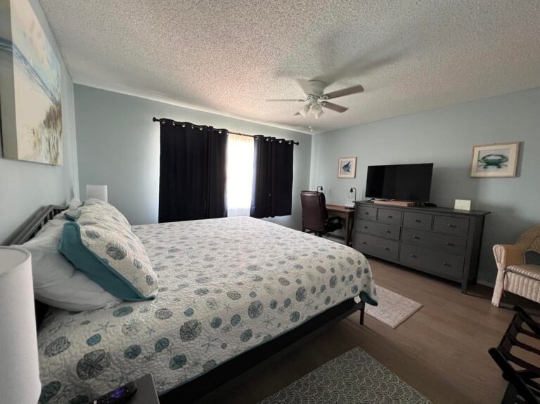 278482370 1047189369226934 1715206160911787702 n 768x575