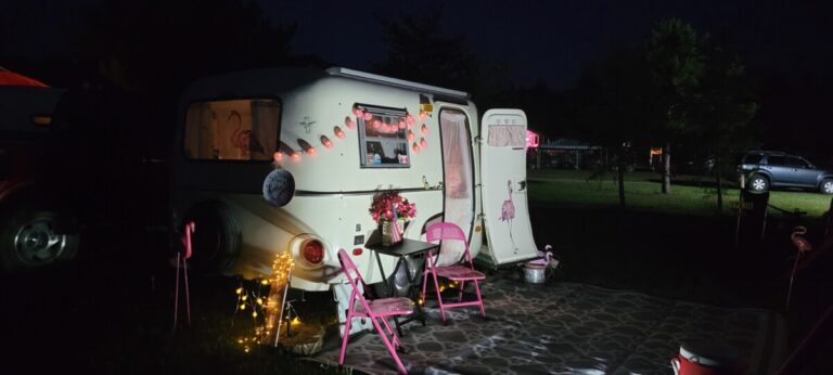 20220723 220117 768x346