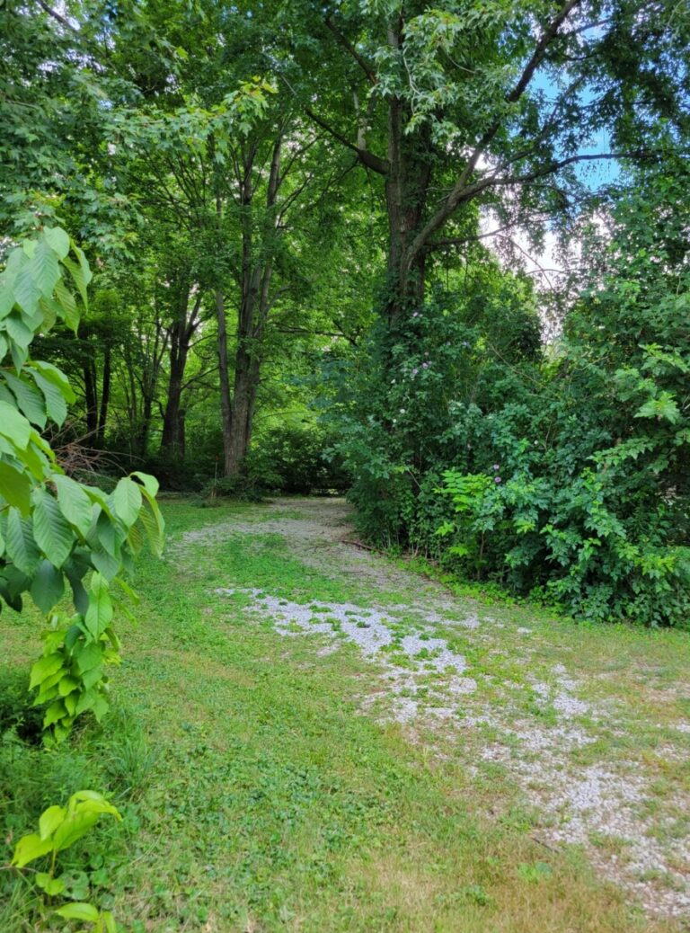 20220818 211144 768x1038