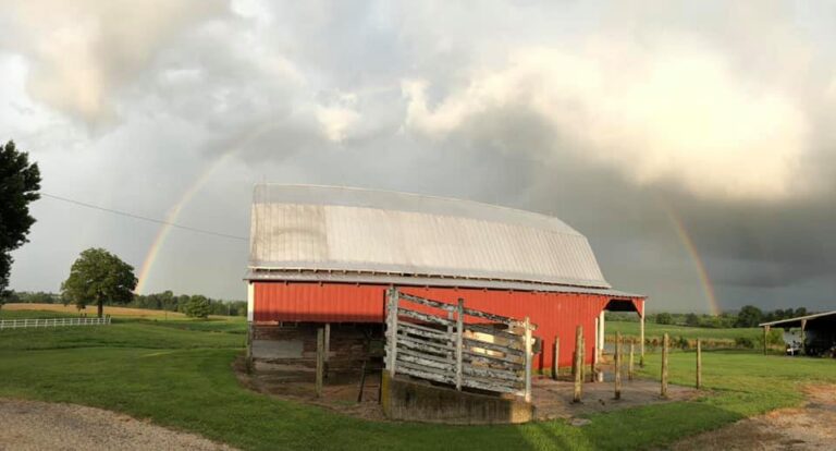 farm with rainbow 768x414