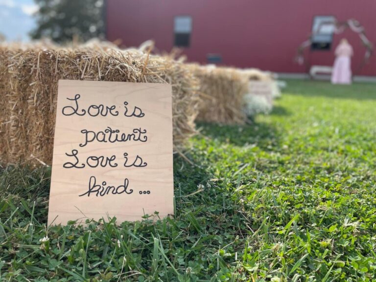 0910C88D FB8F 4086 943D 9FC787A0273B 768x576