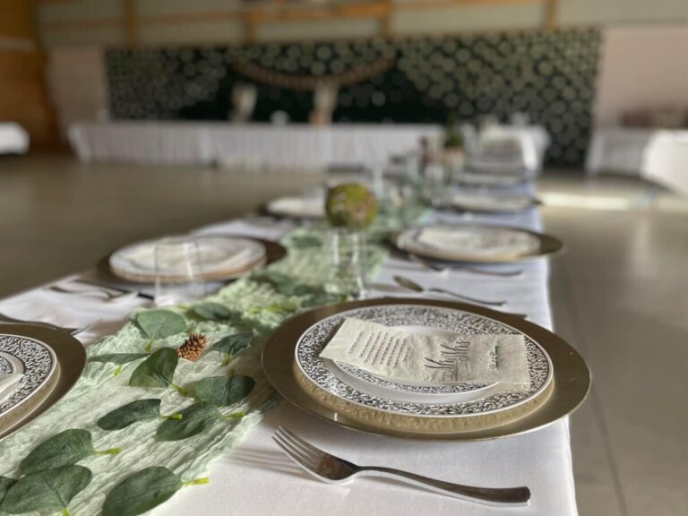 3364FE48 CEC4 41F5 99E0 EEE0511CF779 768x576