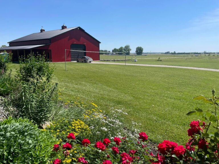 86B082C7 6401 474F B4F7 B0C372894C39 768x576