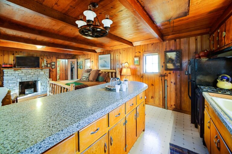 cabin 4 768x512