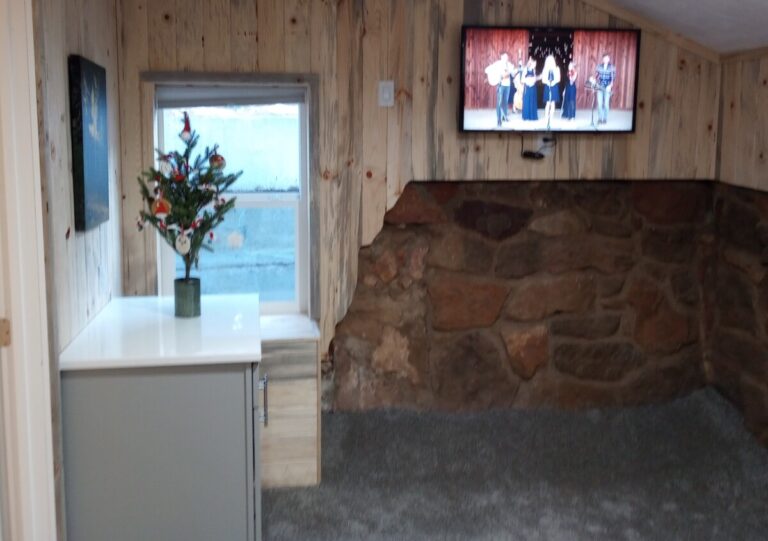 Interior TV 768x541