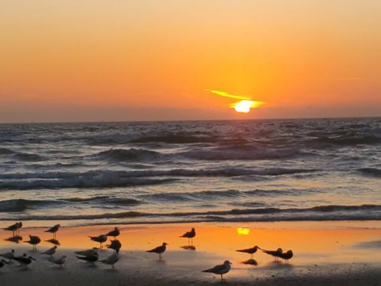 Pic Beach Sunrise 768x576