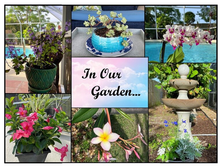 Pic flower garden collage 768x584