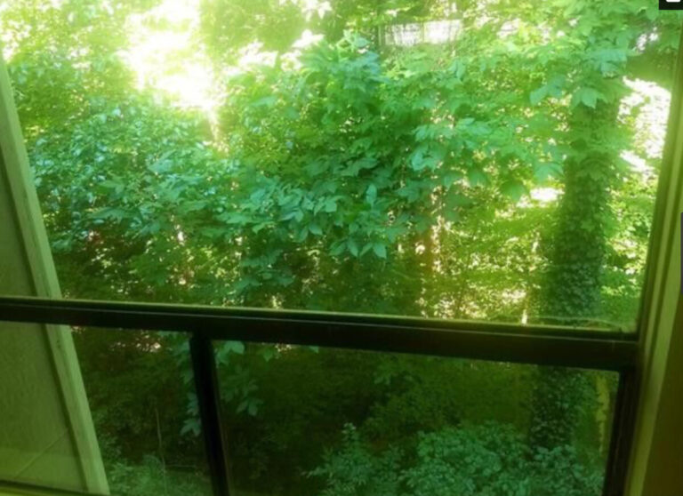 30C16852 6F33 4E34 8021 6A2FDBD0FCD6 768x558