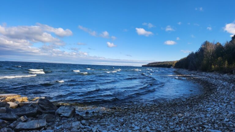 Spring: End of Juddville Rd