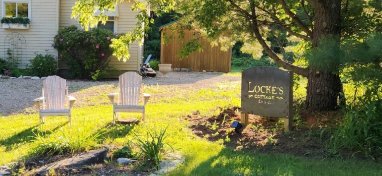 Screenshot 20240614 195414 Gallery 768x355