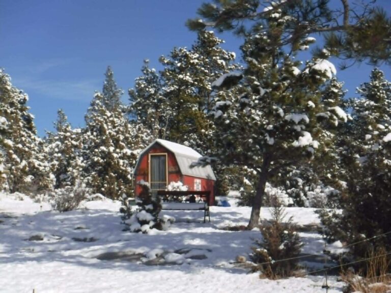 lbnb listing 15 768x576