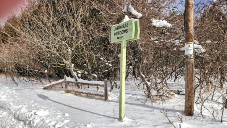 street sign winter 768x433