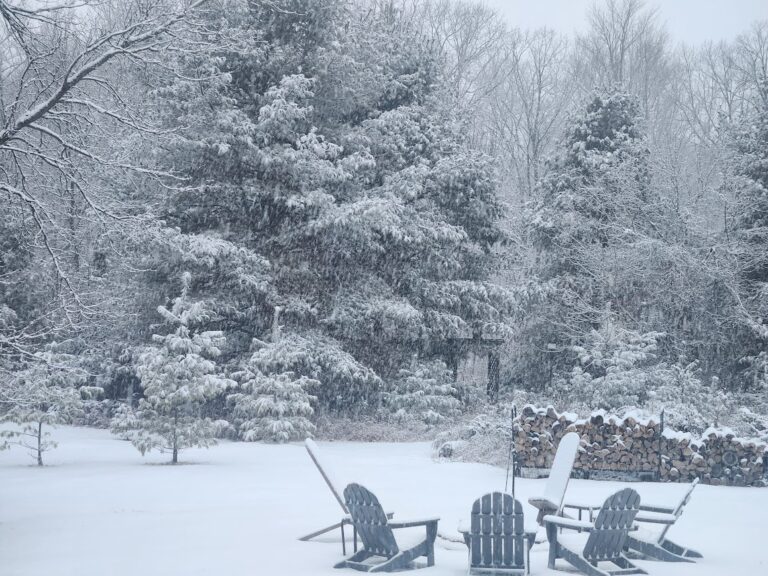 WInter2 January 2025 768x576