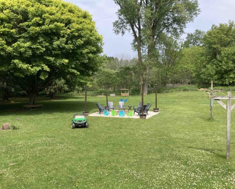 backyard firepit 768x619