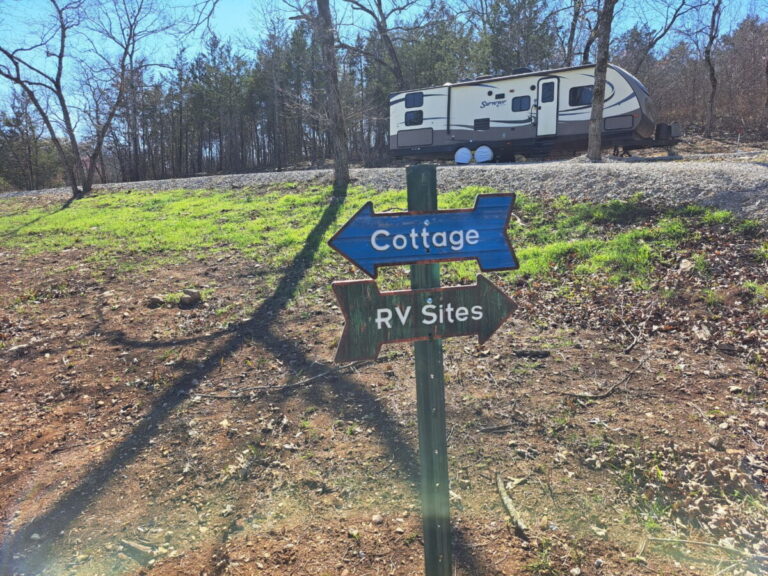 IMG 20240323 002211 768x576