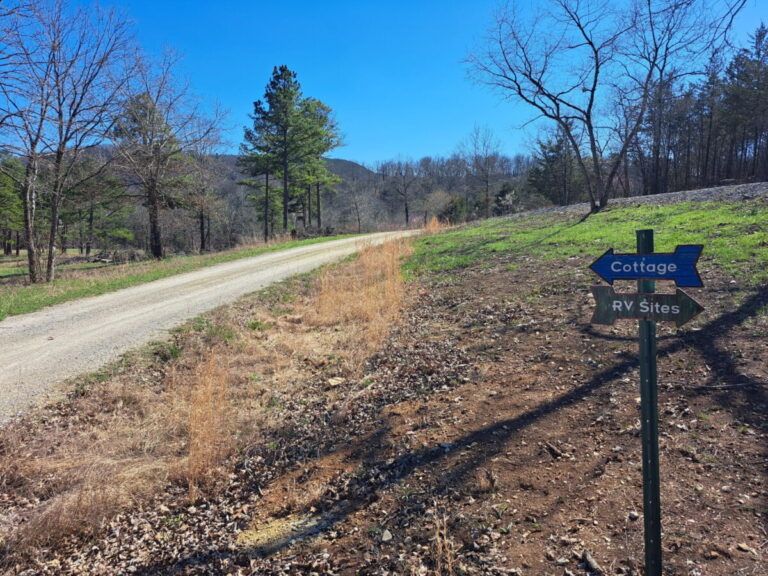 IMG 20240323 002215 768x576