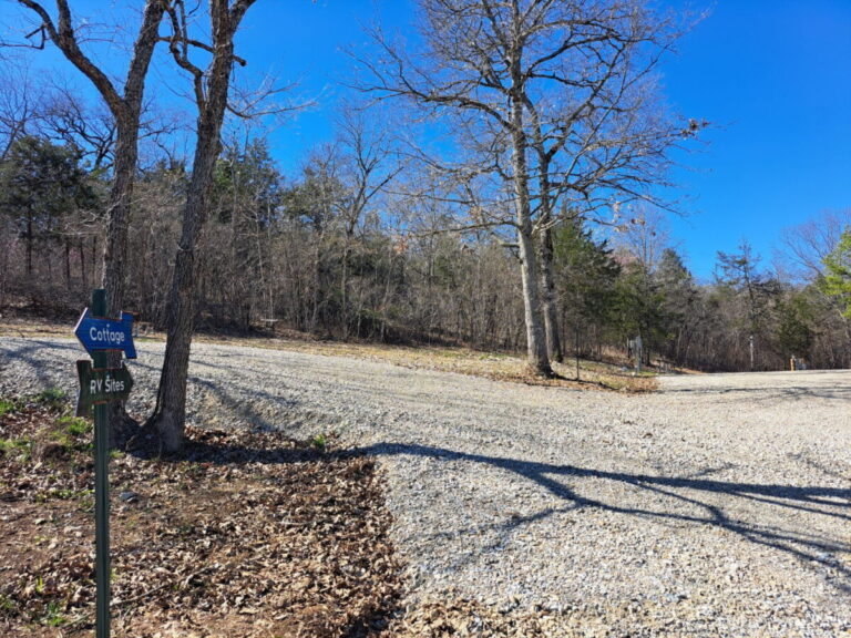 IMG 20240323 002216 768x576