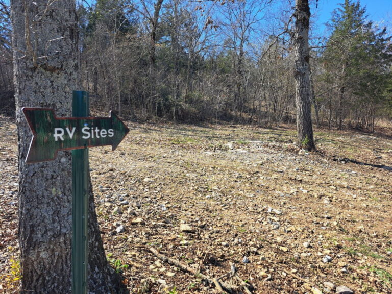 IMG 20240323 002218 768x576