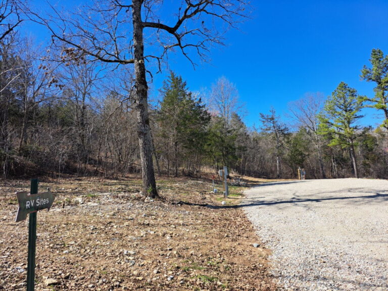 IMG 20240323 002220 768x576