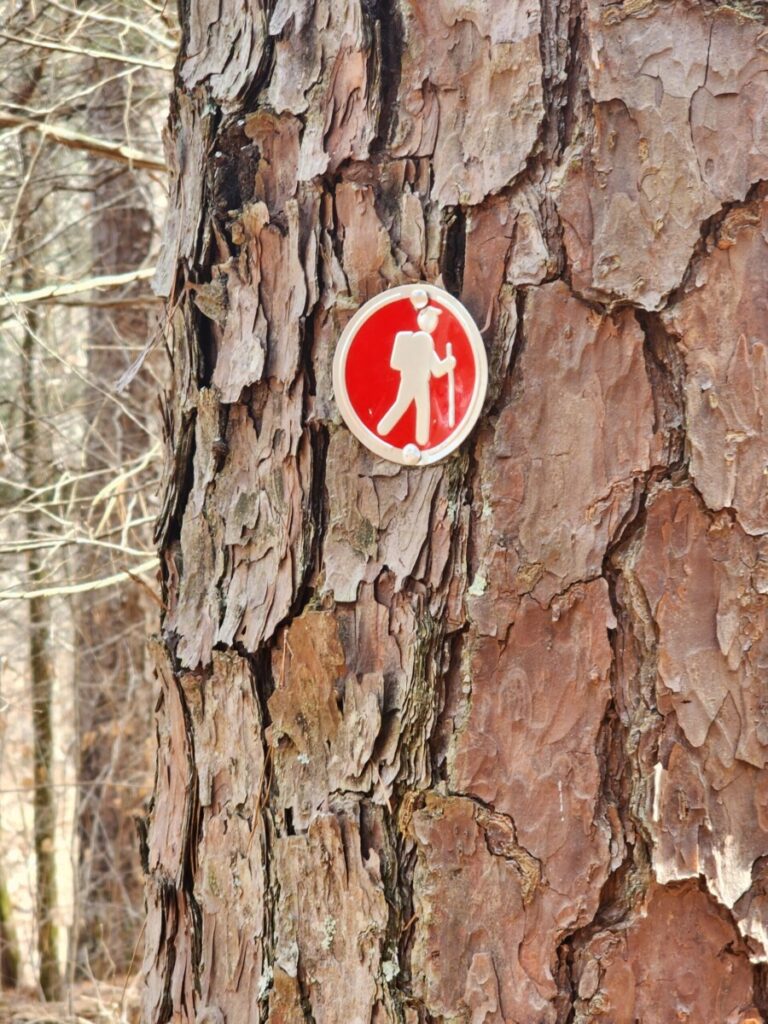 Trail Sign1 768x1024