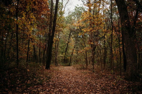 northfarthing farms cottage hillsdale michigan trails horizontal fall autumn 600x400 1