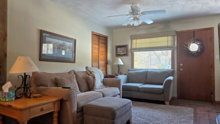 20260207 124659 768x433